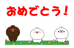 50243743