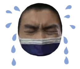 502445753