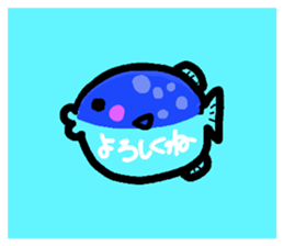 50244607