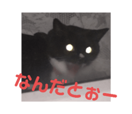502462755
