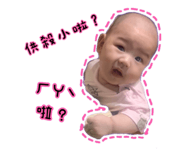 502464505