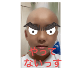 502478233