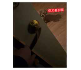 502494053