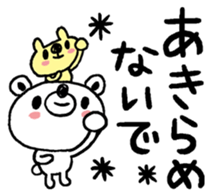 50256594
