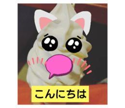 502574267