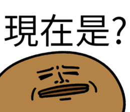 502576558