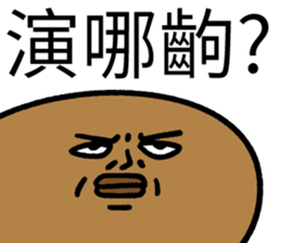 502576565
