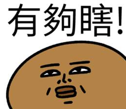 502576571