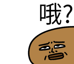 502576577