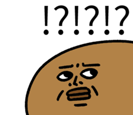 502576595