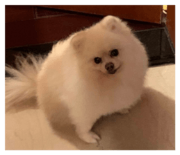 502578924