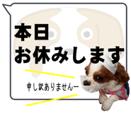 502601643