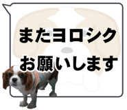 502601646