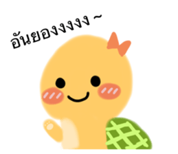 502608062