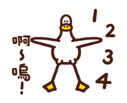 502625007