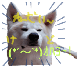 502625979