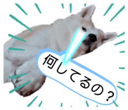502625995