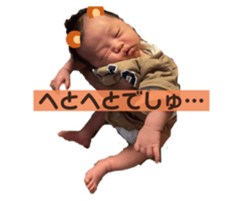 502631834