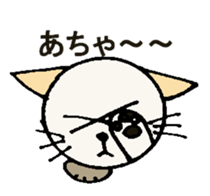 5026347