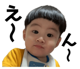 502635904