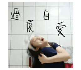 502636400