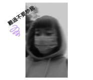502636406