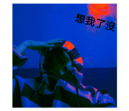 502636408