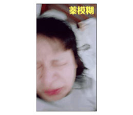 502639290