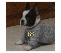 502642182