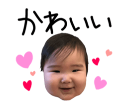 502646741