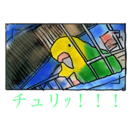 502656910