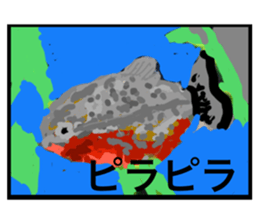 502658302