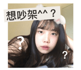 502658614