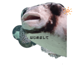 502659931