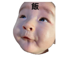 502664716