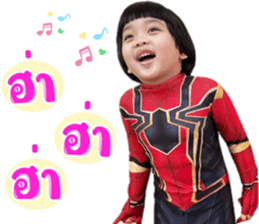 502672544