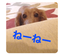 502680878