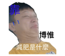 502685888
