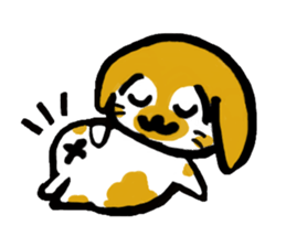 5026884