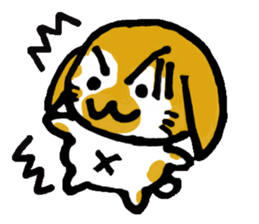 5026892