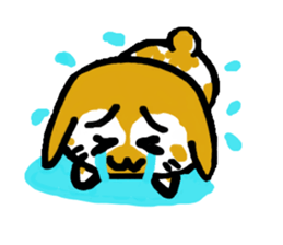 5026894