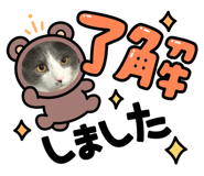 502690527