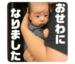 502696385