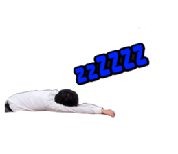 502701206