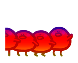 502706021