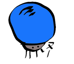 5027286