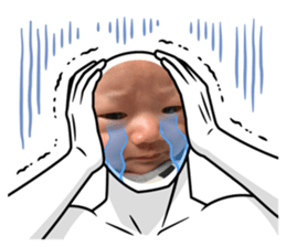 502731316