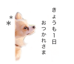 502883769