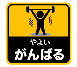 502906397