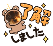 502915373